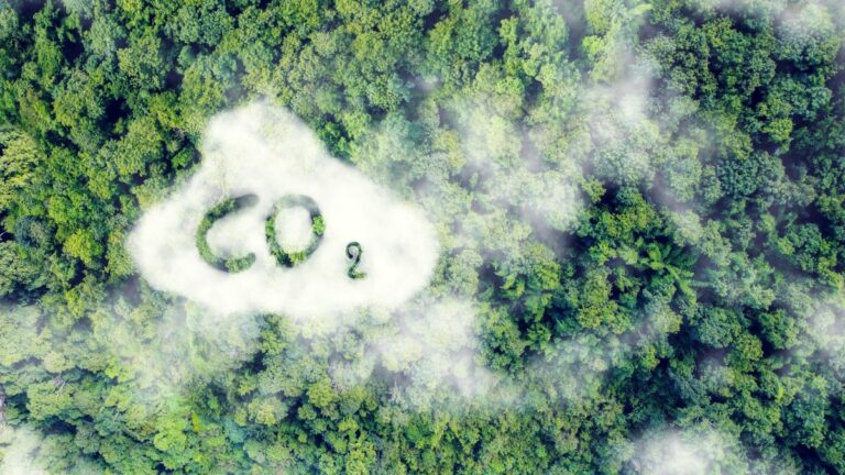 Unlearn CO2: Wie wir das fossile Denken ablegen und nachhaltige Alternativen entdecken