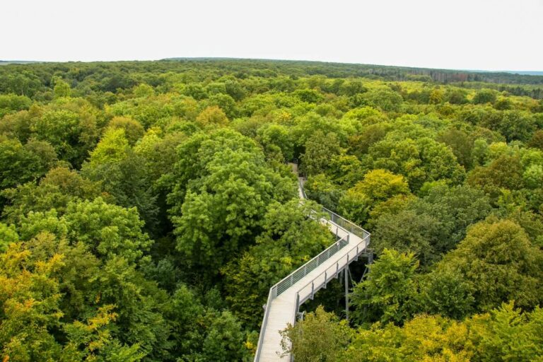 Wandern in Thüringen: Natur erleben im grünen Herzen Deutschlands